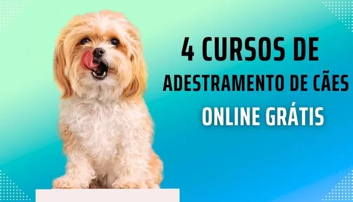 Curso de adestramento de cães online Grátis