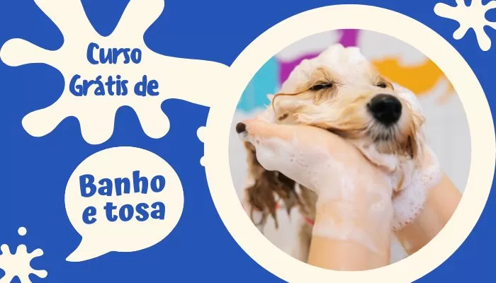 Curso de banho e tosa Online Grátis Aprenda a Cuidar do Seu Pet